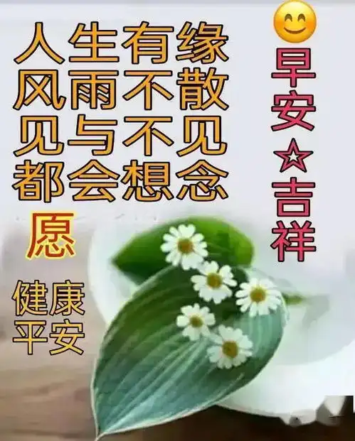  早上好问候语早上好的短句子心情好的句子问候语及关心话