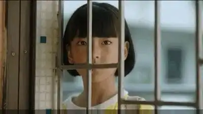  少年法官看隐秘的角落小白船不该停靠的角落
