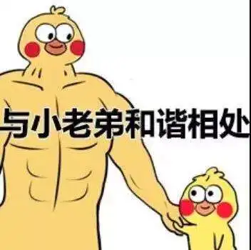  抖音七彩小黄鸭全套表情包哪里有被套回的小黄鸭