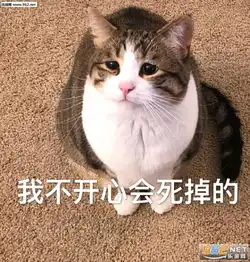  不学了去嗨皮表情包图片我不开心会死掉的表情包下载乐游网游戏下载