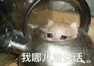 自打耳光一天只睡半小时喝8杯奶茶,贵圈新晋谎话精组团出道