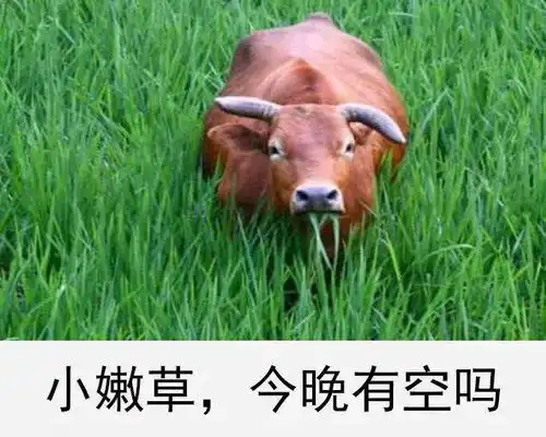  沙雕表情包i我觉得你是个sb