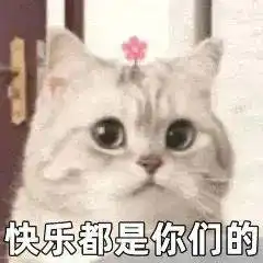 最近很火的小狗穿裙子,小猫头上带花表情包