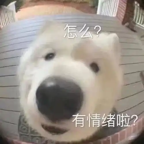  尚公主校园文可可爱爱吵吵闹闹的小熊式女...