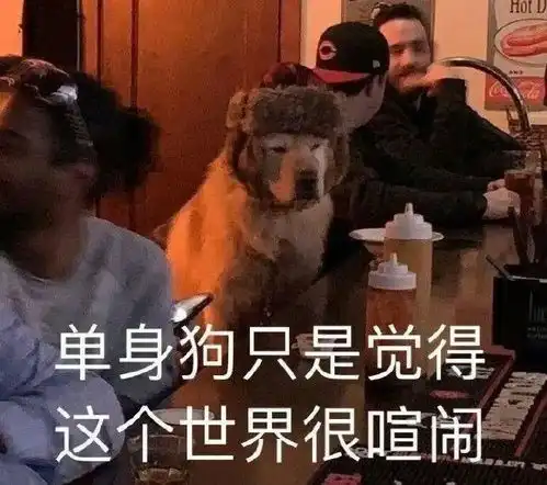单身狗证表情包沙雕