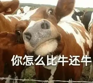  玩游戏三十年,我第一次看到打怪掉落袜子,还包邮到家的端游