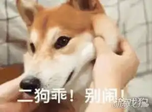  ios可免费手游加速biubiuios国服版上线