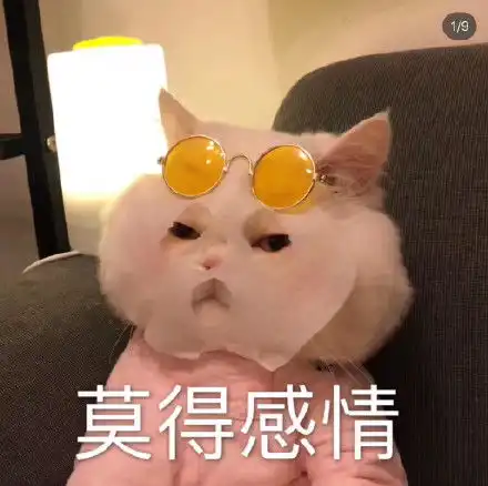 跳舞gif表情包蹦迪