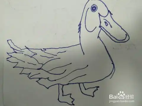  简笔画之鸭子