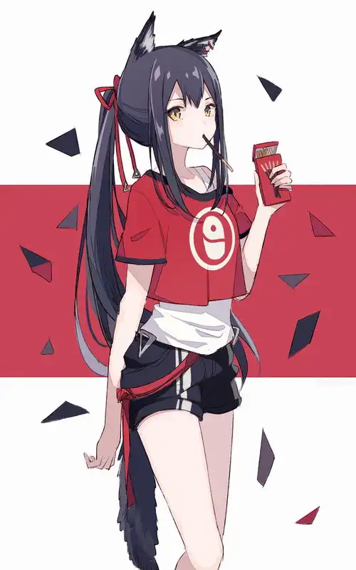 哔哩哔哩专栏