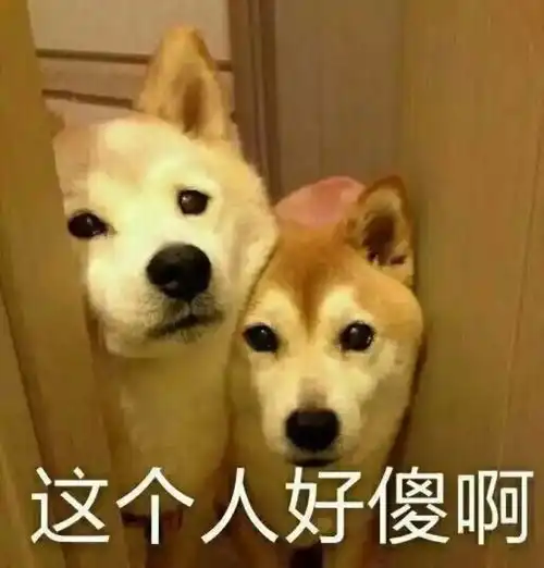 hi表情包动作图会友