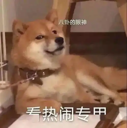 窃瓦拉格表情包高清