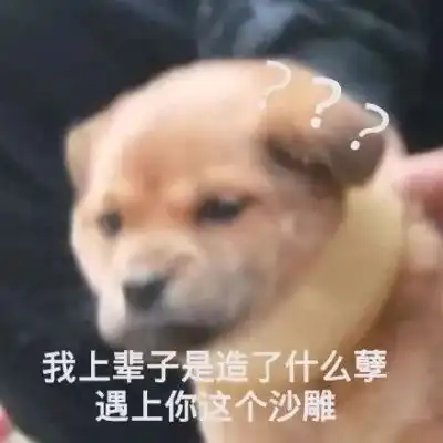  林一笑网络必备可爱小动物表情微信头像我要个性网