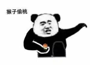  熊猫头表情包我将毕生的武功全都传给你