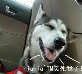  太惨了千万不要把哈士奇放后备箱,除非你想多个通风口
