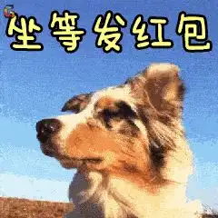要红包的表情包图片狗年