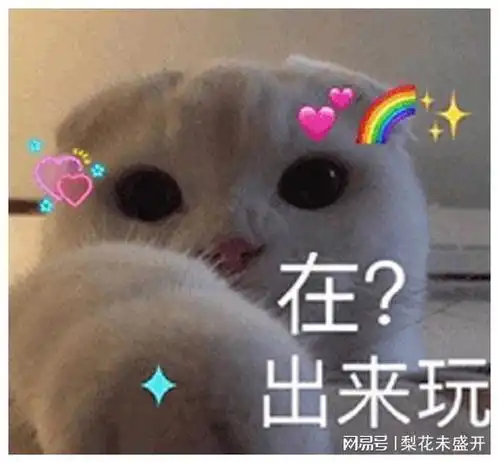想干你表情包一起玩
