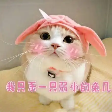  一波可爱猫星人表情包