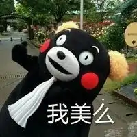  熊本熊表情包我是一个如此nice的人