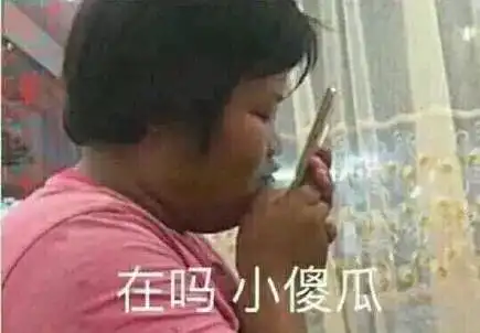 小傻瓜表情包熊猫