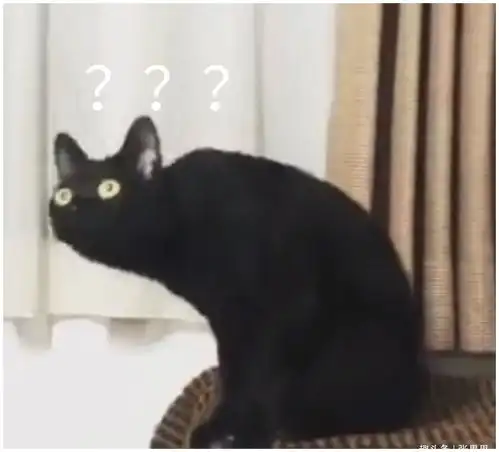 爆笑盘点你看我我这个买家秀好看吗哈哈哈