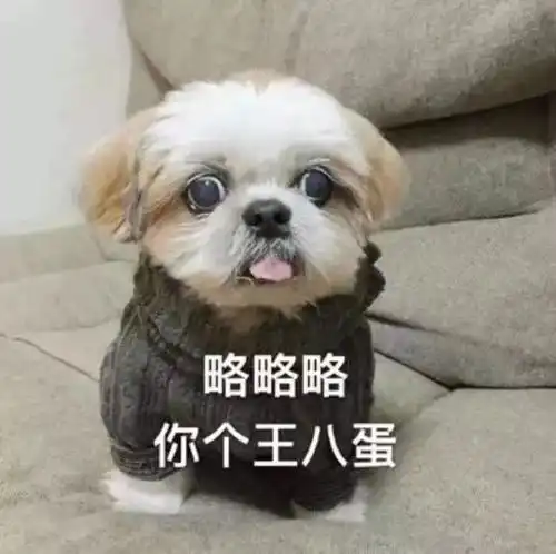  没用表情包的略略略是没有灵活的