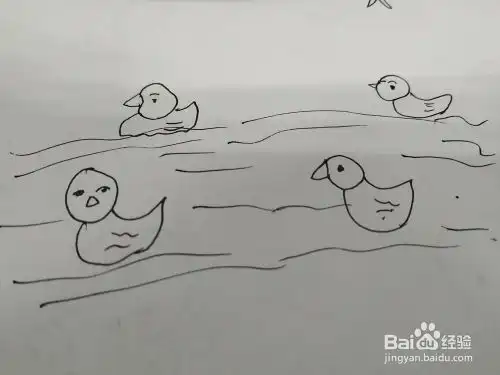  一群游泳的小鸭子简笔画怎么画,怎么画一群小鸭