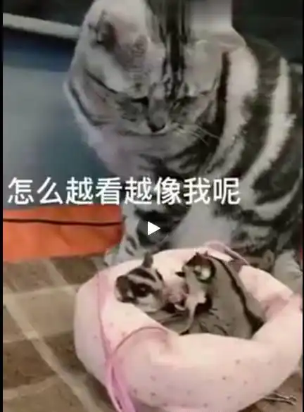 怀疑的眼神表情包一见钟