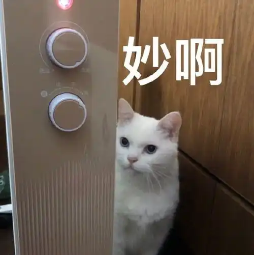  有没有什么万能的表情包