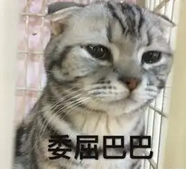  你以为晒被子就能杀死螨虫傻得可爱