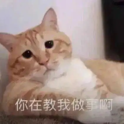  沙雕表情包