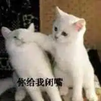  搞笑可爱表情包斗图