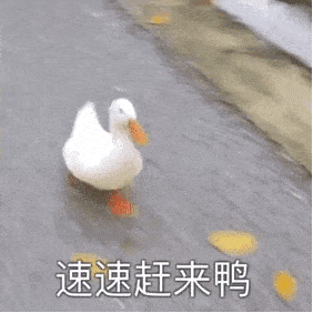  真情实感的9月爱用物,每个我都要回购到停产