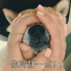 张学友表情包抖音gif周