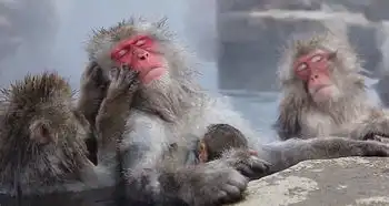  环球旅行
