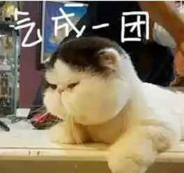  当直通选手曾新异遇上砖家张梦南,他们会怎么玩转繁花曲线呢