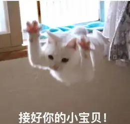  云村购票指南专栏文章网易云音乐