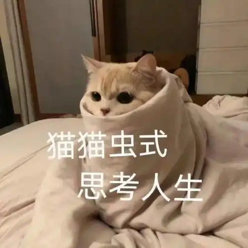  摆脱手机依赖症,做最会管理时间的上学人