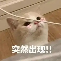  前方高能预警强冷空气蓄势待发