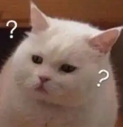  萌你一脸可爱小猫咪表情包集锦