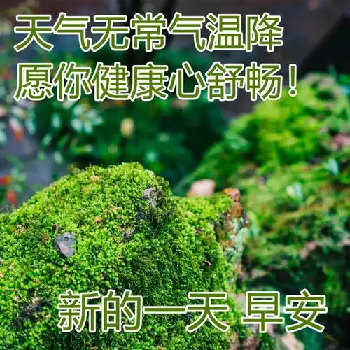  大年初十早上好动态表情图片大全正月初十祝福动画表情包图片