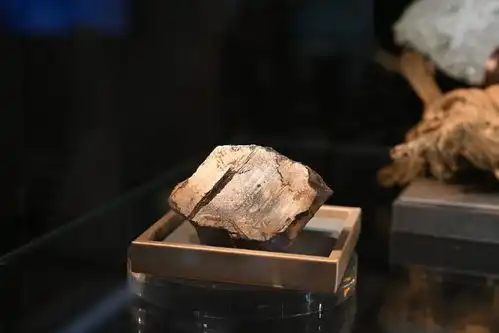  凡人微光穿越星际重庆妹儿的陨石奇遇
