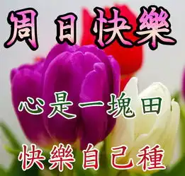 结婚祝福动态表情包大家