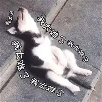  被沈腾笑死了,你们看看他起的啥名儿哈哈哈哈哈哈哈哈