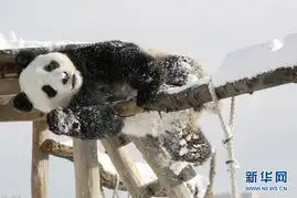  一周全球表情莫言领奖王妃怀孕北方降温