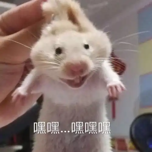  年纪轻轻,玩得倒是很刺激
