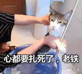 一大波表情包来袭,最后一个超实用,收藏