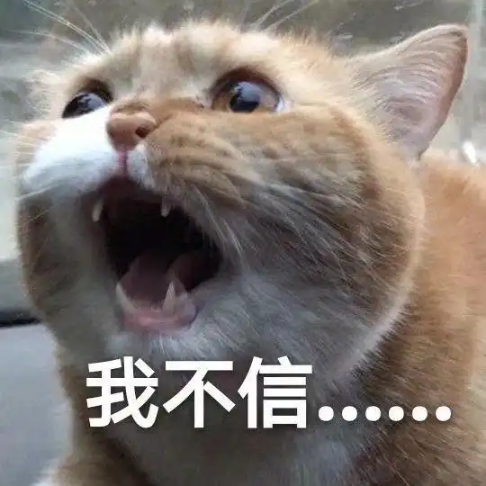胖橘失眠表情包