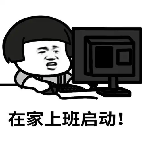  表情l在家办公的真实状态