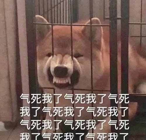  哥,你妹我相个亲容易吗你还大老远跑来拆台